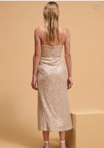 Load image into Gallery viewer, SEQUIN SLIP DRESS
